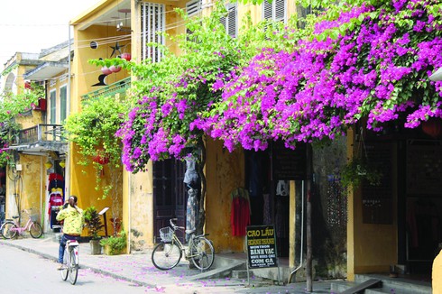 Việt Nam trong mắt báo chí quốc tế - ảnh 3