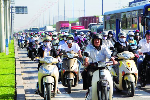 TP.HCM nên phát triển thật nhanh xe buýt - ảnh 1