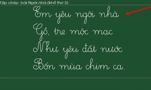 Hậu quả từ những chính sách “chưa chuẩn” được thực hiện - ảnh 1