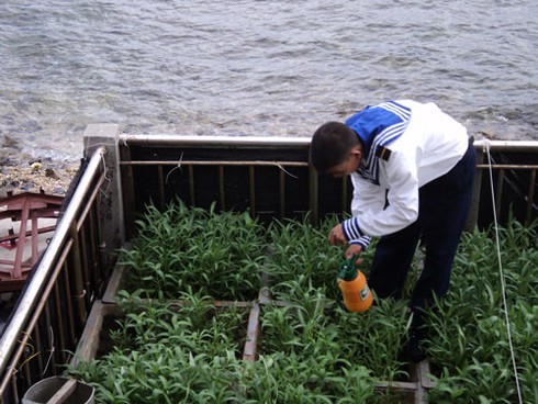 Biển Đông: Đến đảo Đá Thị, giáp mặt tàu Trung Quốc - ảnh 5