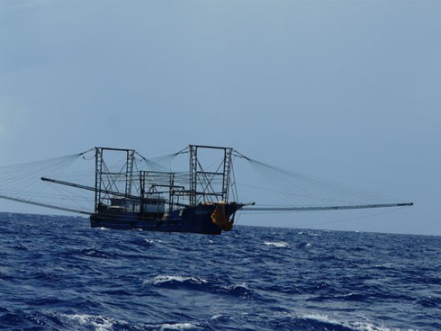 Biển Đông: Đến đảo Đá Thị, giáp mặt tàu Trung Quốc - ảnh 2