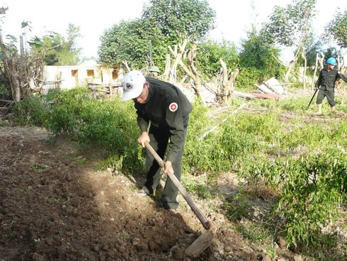 Ba thanh niên thành phố ra đất đảo sỏi đá trồng rau xanh - ảnh 3