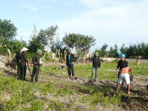 Ba thanh niên thành phố ra đất đảo sỏi đá trồng rau xanh - ảnh 4
