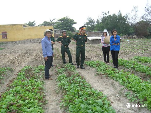 Bạch Long Vĩ đã có thêm… rau sạch - ảnh 2