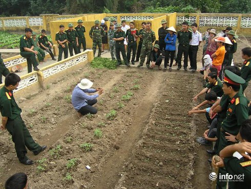 Bạch Long Vĩ đã có thêm… rau sạch - ảnh 3