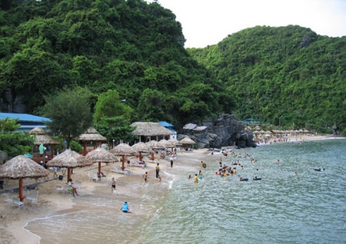 Tiềm năng du lịch biển của Việt Nam như thế nào? - ảnh 1