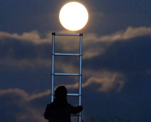 Yêu chán... đòi quà! - ảnh 1