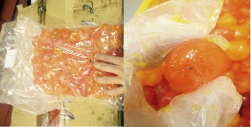 Chuyện bảo vệ thương hiệu: Cocacola thì… hở sườn, Kinh Đô thì… giữ thế? - ảnh 2