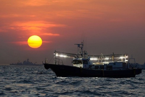 Giải quyết tranh chấp bằng biện pháp hòa bình và lập trường của Việt Nam - ảnh 1