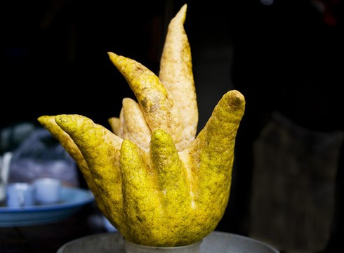 Cận cảnh gốc phật thủ có giá