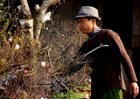 Mướt mắt thưởng vẻ đẹp “Nhất chi mai” - ảnh 12