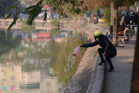 Muôn kiểu thả cá chép tiễn Táo quân - ảnh 1