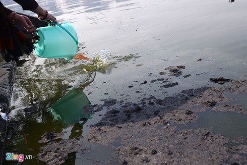 Muôn kiểu thả cá chép tiễn Táo quân - ảnh 10