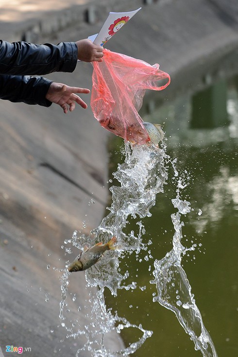 Muôn kiểu thả cá chép tiễn Táo quân - ảnh 2