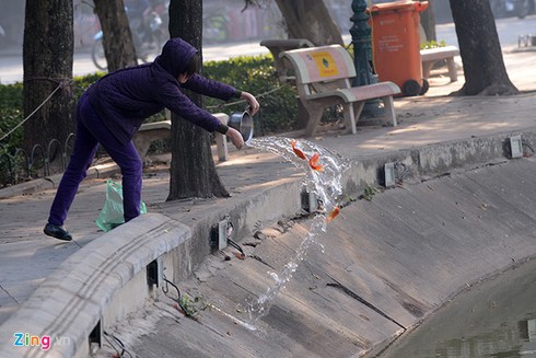 Muôn kiểu thả cá chép tiễn Táo quân - ảnh 3