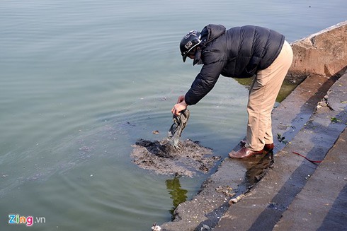 Muôn kiểu thả cá chép tiễn Táo quân - ảnh 9
