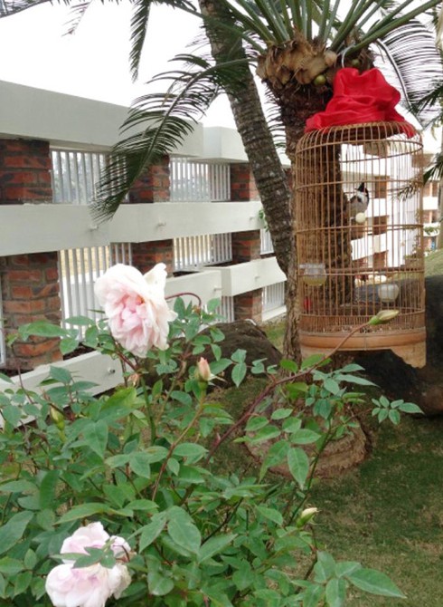 Ngắm ngôi nhà đẹp như mơ của ca sỹ Trọng Tấn - ảnh 6