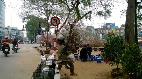 Tận thu “lộc” lúc xuân tàn… - ảnh 1