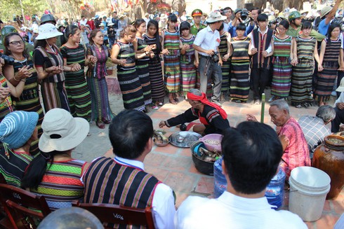 Cúng sức khỏe cho voi trước khi vào hội - ảnh 1