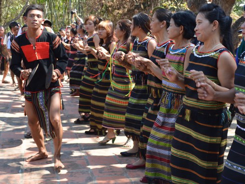 Cúng sức khỏe cho voi trước khi vào hội - ảnh 2