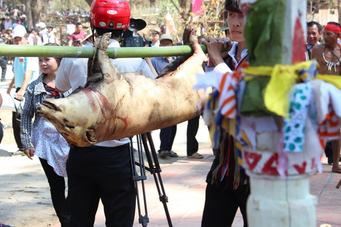 Cúng sức khỏe cho voi trước khi vào hội - ảnh 3