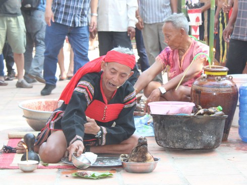 Cúng sức khỏe cho voi trước khi vào hội - ảnh 5