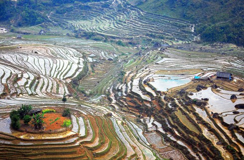 Đẹp ngỡ ngàng ruộng bậc thang Sàng Ma Sáo mùa nước đổ - ảnh 1