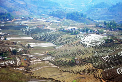 Đẹp ngỡ ngàng ruộng bậc thang Sàng Ma Sáo mùa nước đổ - ảnh 3