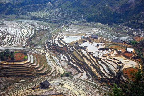 Đẹp ngỡ ngàng ruộng bậc thang Sàng Ma Sáo mùa nước đổ - ảnh 4