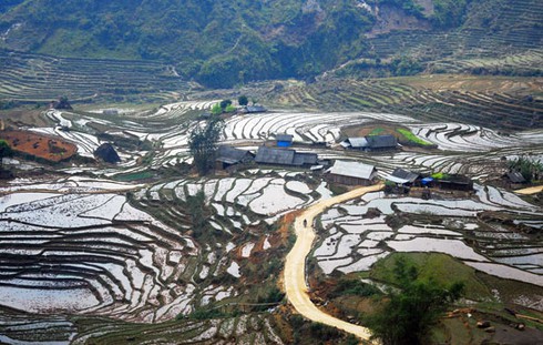 Đẹp ngỡ ngàng ruộng bậc thang Sàng Ma Sáo mùa nước đổ - ảnh 6