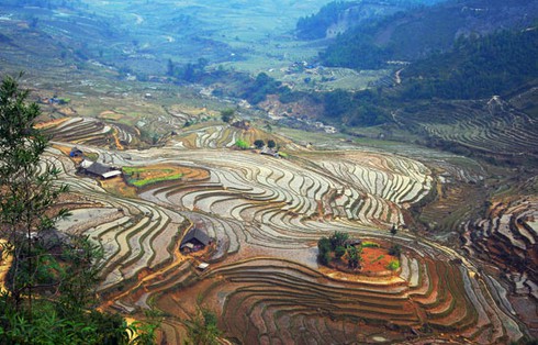 Đẹp ngỡ ngàng ruộng bậc thang Sàng Ma Sáo mùa nước đổ - ảnh 7
