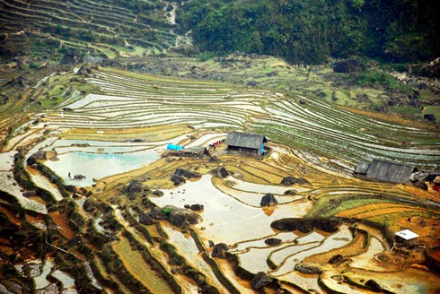 Đẹp ngỡ ngàng ruộng bậc thang Sàng Ma Sáo mùa nước đổ - ảnh 9