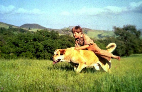 6 bộ phim thiếu nhi tuyệt hay nhưng vô cùng nhạy cảm - ảnh 4