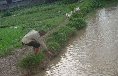 Hà Nội: Phát hiện xác 2 thai nhi bị vứt dưới mương nước - ảnh 1