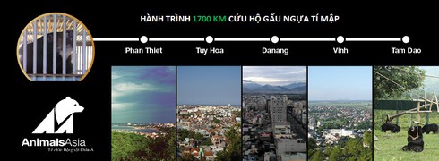 Hành trình 1700km cứu hộ chú gấu nuôi cuối cùng của Bình Thuận - ảnh 3