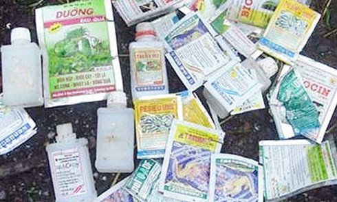 Rau xanh tươi cả tuần ở chợ nhờ