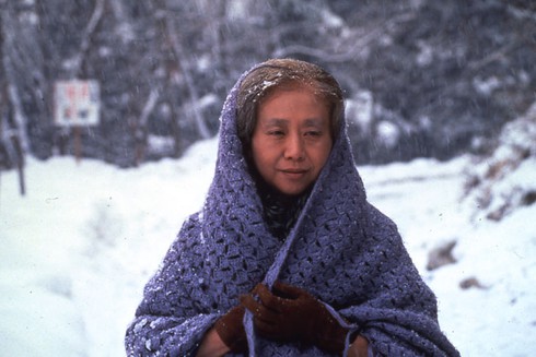 Những sự thật ít được biết đến của nữ diễn viên thủ vai Oshin khi già - ảnh 1