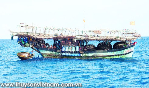 Tàu câu mực khơi trúng đậm, thu 2,6 tỷ đồng sau chuyến biển - ảnh 1