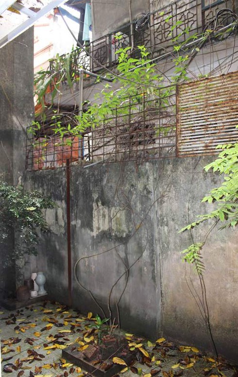 NS Thanh Quý: Sống với Thành Chương như hôn mê sâu - ảnh 14