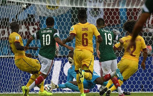 Tin World Cup mới nhất 14/6: Rùa tiên tri dự đoán hòa cho Anh-Italy - ảnh 1