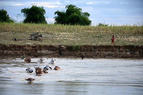 Cuộc sống tuyệt đẹp trên dòng sông Đăk Bla - ảnh 8
