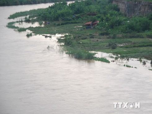 6 em nhỏ bị sét đánh do trú mưa dưới gốc cây to - ảnh 1