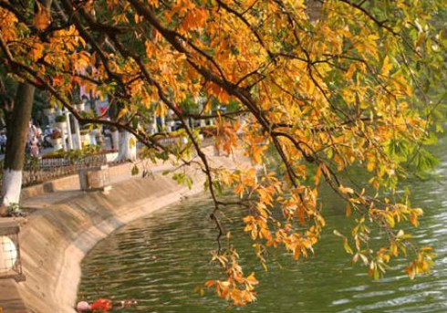 Dự báo thời tiết 26/8: Mưa dông rải rác, Hà Nội cao nhất 33oC - ảnh 1