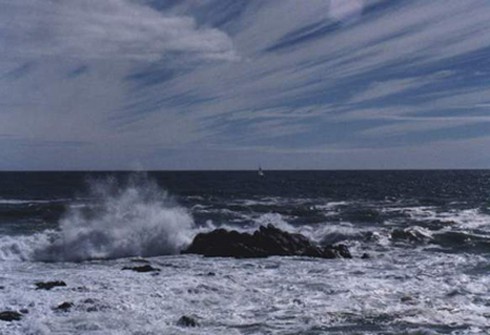 Tin áp thấp mới nhất và dự báo thời tiết biển 28/8 - ảnh 1