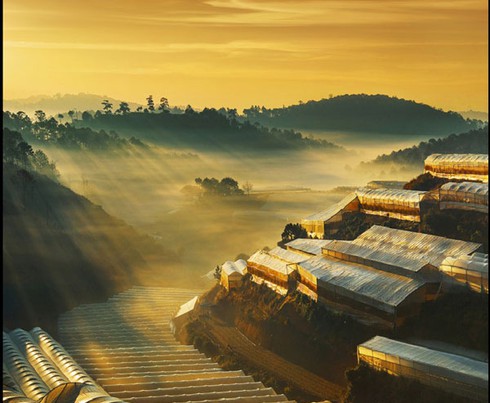 Đẹp nao lòng những khoảnh khắc bình dị làng quê Việt - ảnh 4