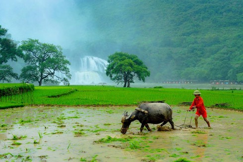 Đẹp nao lòng những khoảnh khắc bình dị làng quê Việt - ảnh 12