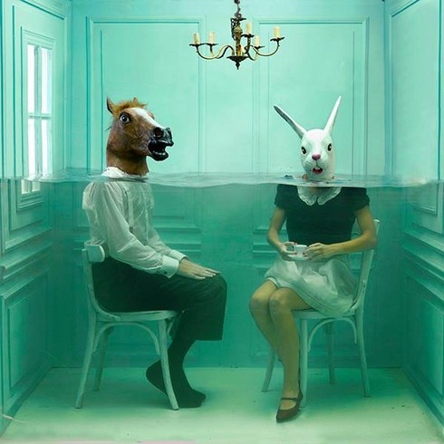 'Cuộc sống hai mặt', bộ ảnh phơi bày bản chất con người - ảnh 10