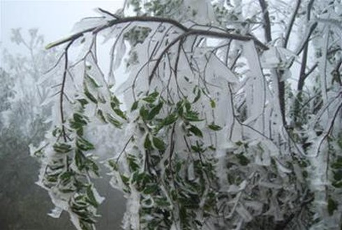 Năm 2014, miền Bắc dự báo sẽ có rét đậm rét hại sớm - ảnh 1