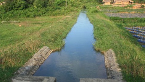 Phát hiện người chết dưới mương nước - ảnh 1