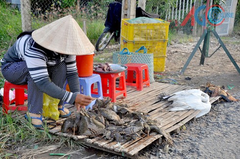 An Giang: Hồn nhiên bày bán hàng trăm chim, cò bắt từ thiên nhiên - ảnh 1